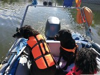 032028IMG 20170521 105926